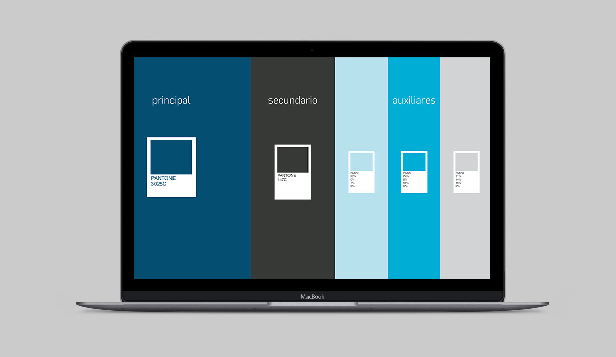 Diseñador-gráfico Branding-Book