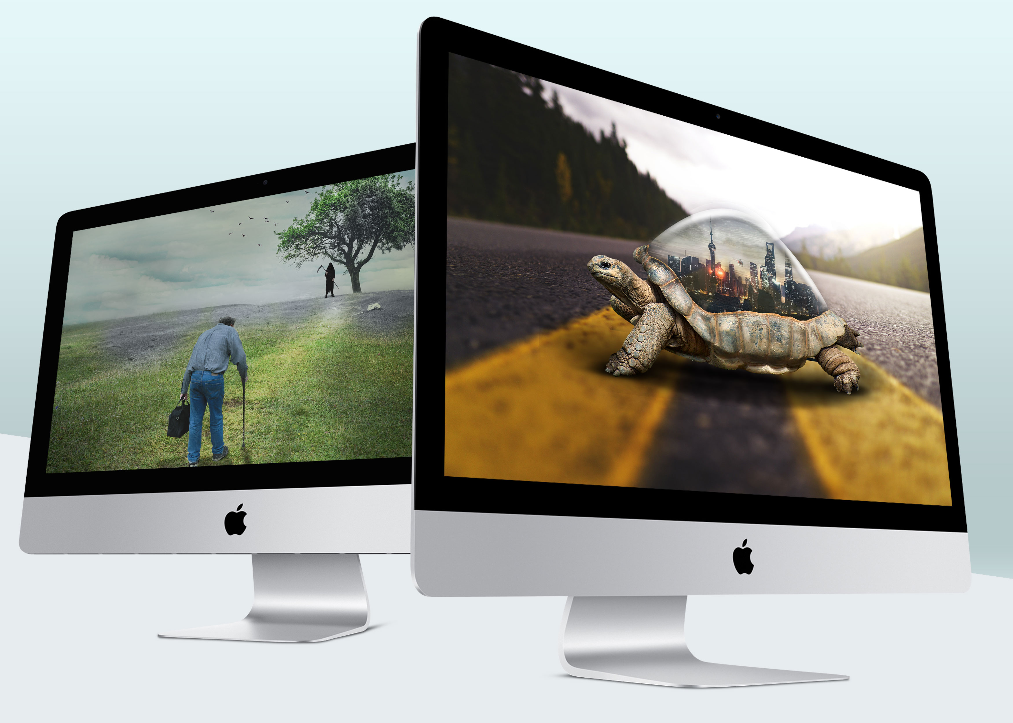 Diseñador-gráfico Retoque-fotográfico