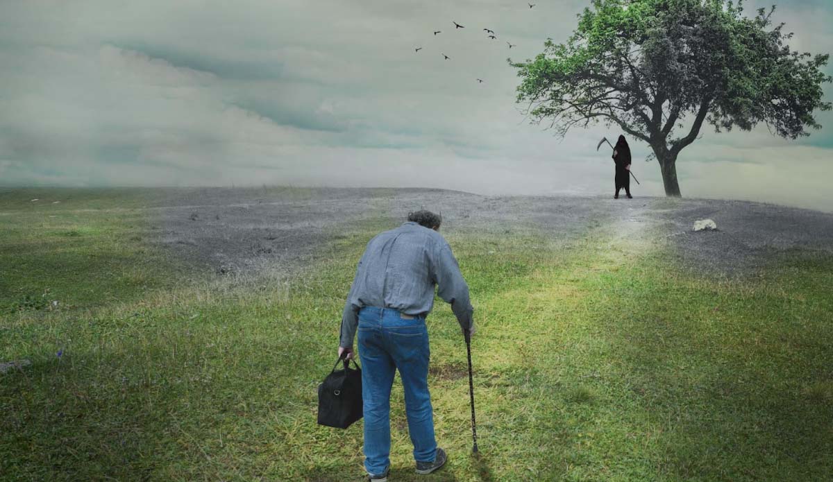 Diseñador gráfico empleo Madrid Retoque -digital