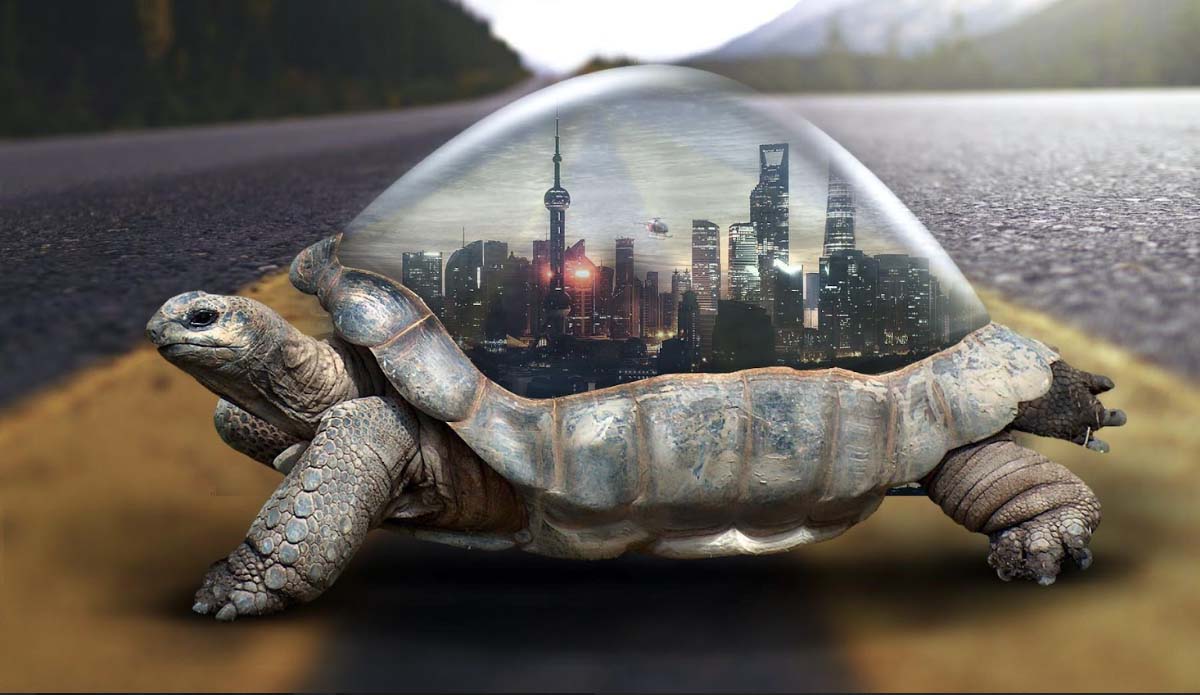 Diseñador gráfico empleo Madrid Retoque -digital